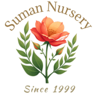 Suman Nursery
